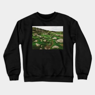 Dartmoor National Park - Many Rocks Embedded in Green Grass Crewneck Sweatshirt